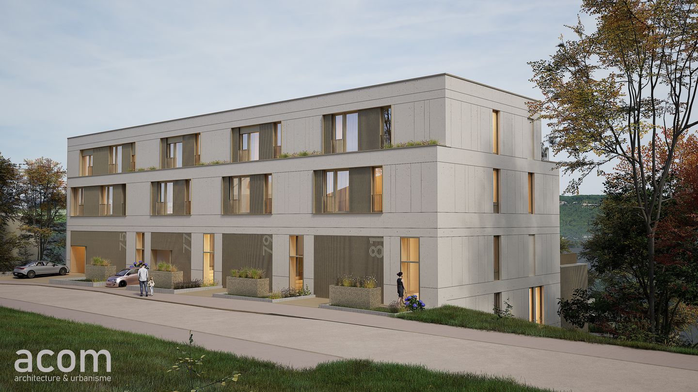 DOMMELDANGE, ensemble de cinq maisons urbaines à Dommeldange, rendu extérieur 1